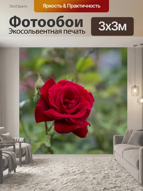 Фотообои Роза