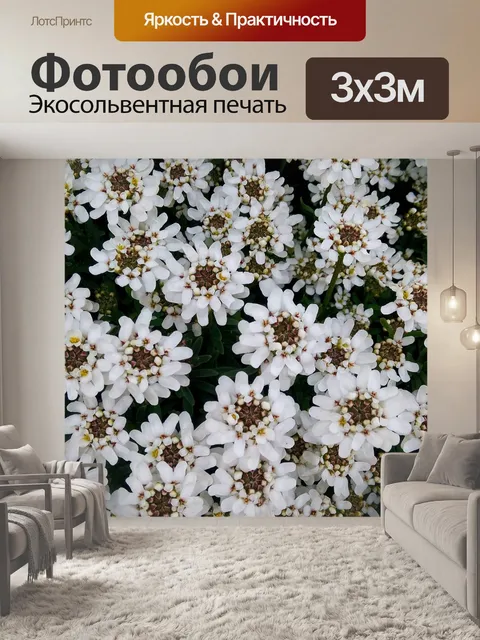 Фотообои Цветы