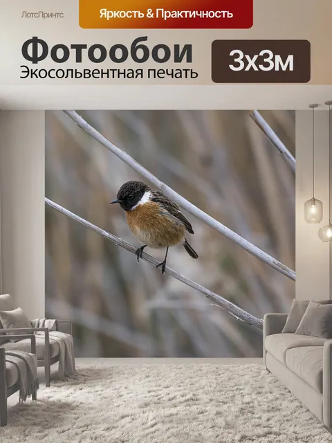 Фотообои Птицы