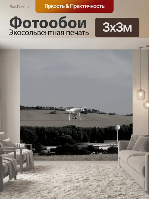 Фотообои Дрон