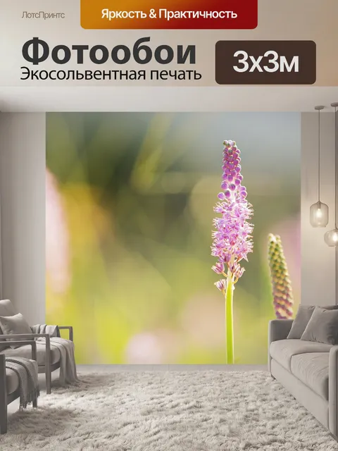 Фотообои Цветок