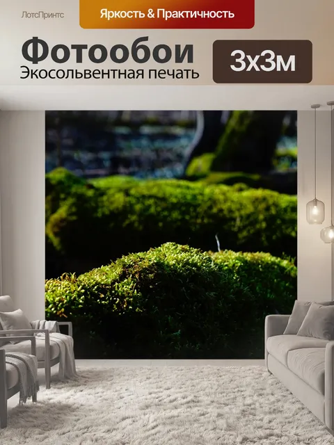 Фотообои Мох