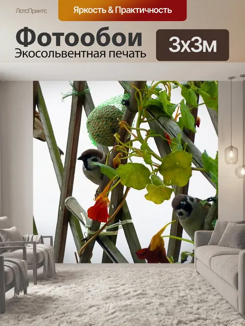 Фотообои Воробьи