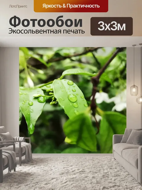 Фотообои Лист