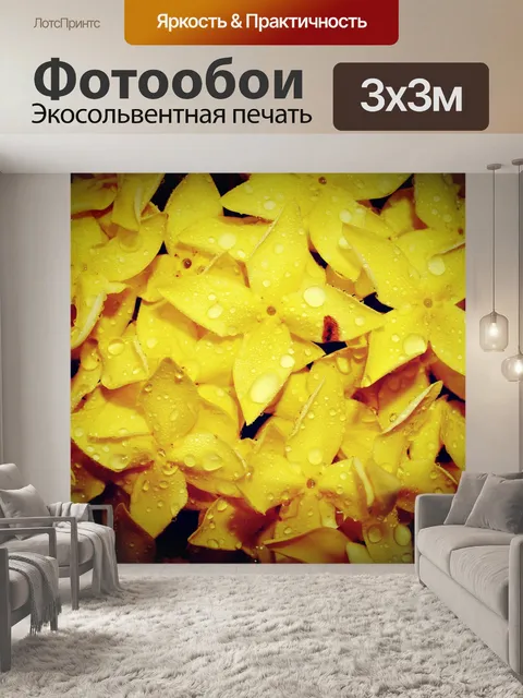 Фотообои Красивый цветок