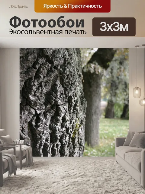 Фотообои Парк