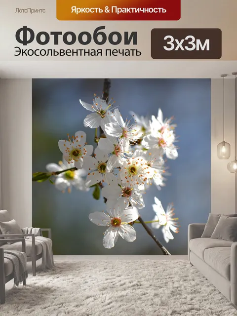 Фотообои Цветы