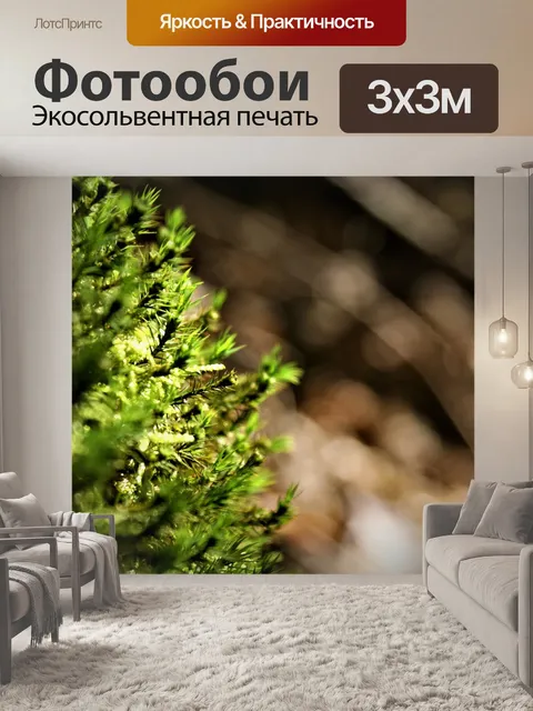 Фотообои Мох