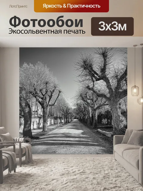 Фотообои Проспект