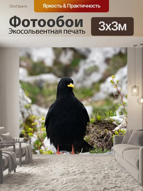 Фотообои Животные