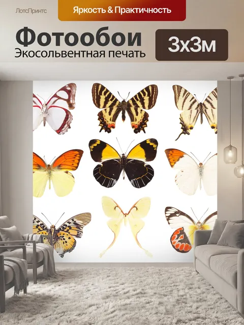 Фотообои Бабочки