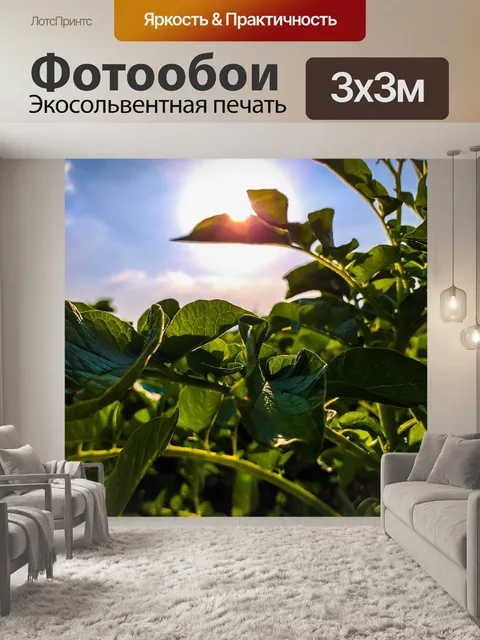 Фотообои Растения