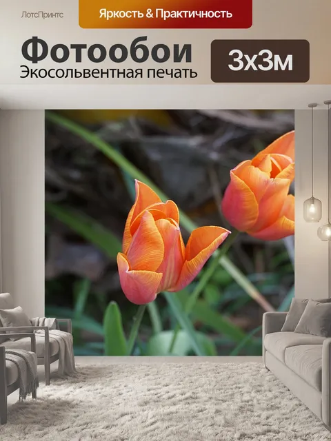 Фотообои Тюльпаны