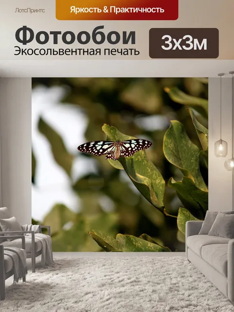 Фотообои Бабочка