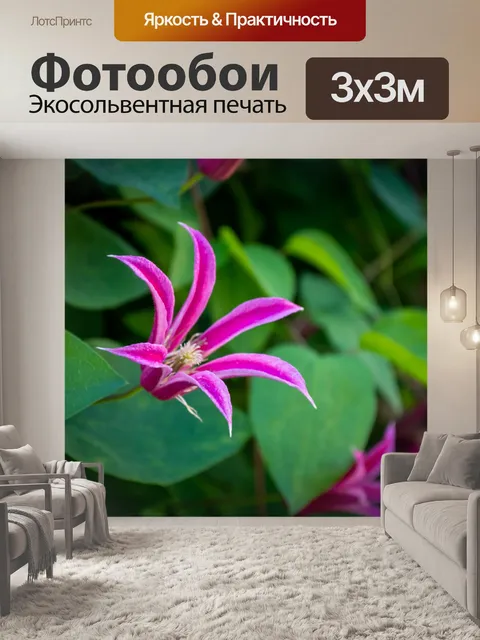 Фотообои Фиолетовые цветы, восхождение