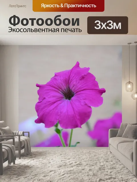 Фотообои Цветок