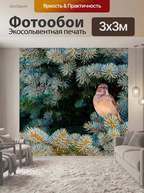 Фотообои Воробей