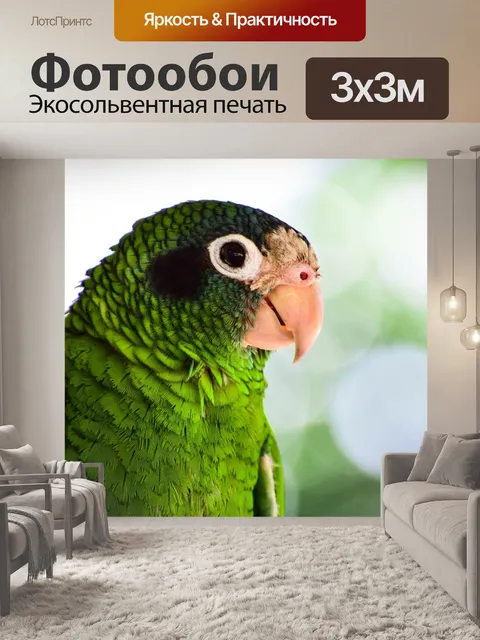 Фотообои Птицы