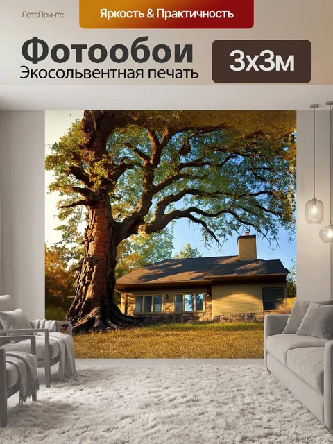 Фотообои дерево величественно возвышается над домом