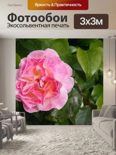 Фотообои Летать