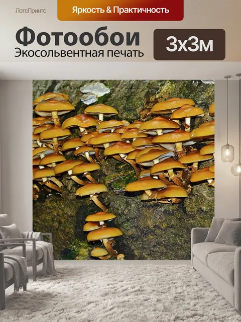 Фотообои Лес