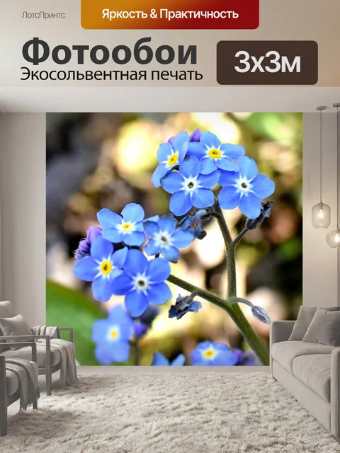 Фотообои Цветы