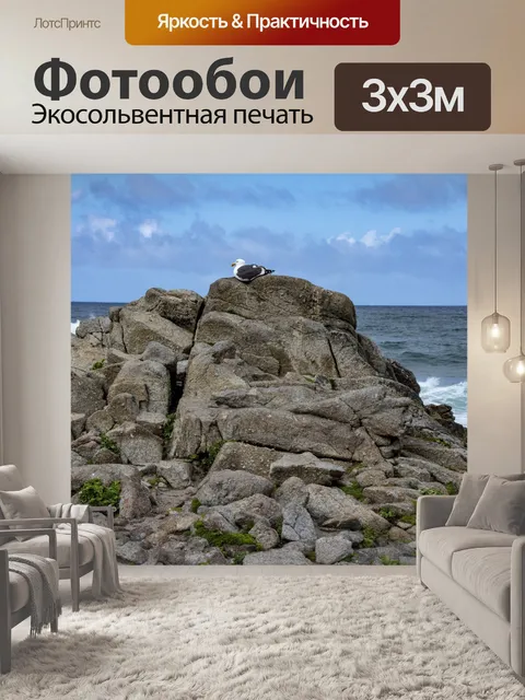 Фотообои Чайка на скалах у моря