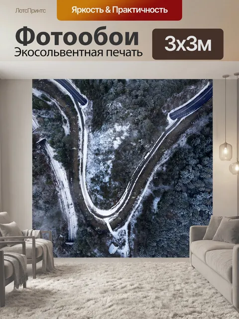Фотообои Черный лес