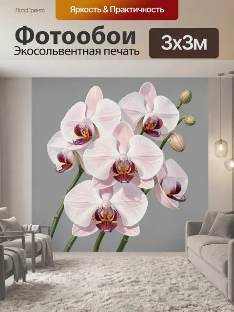 Фотообои Нежные орхидеи на сером фоне