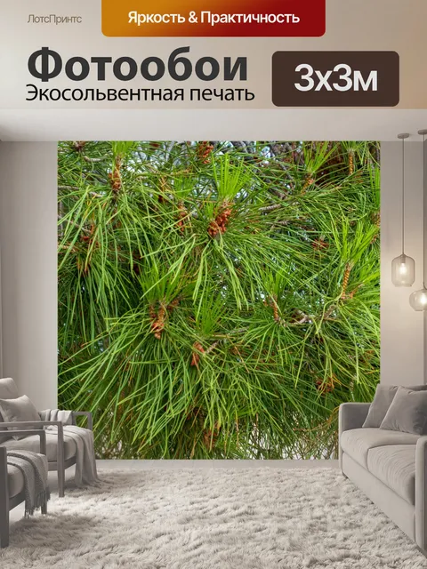 Фотообои Природа Крита