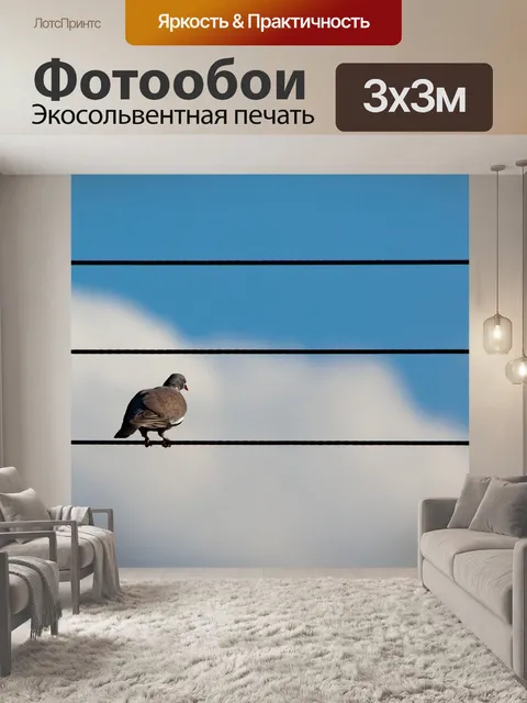 Фотообои Птица на проводе