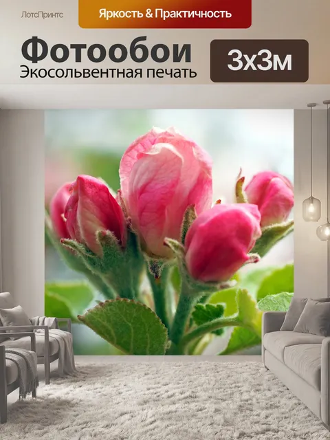 Фотообои Цветение яблони