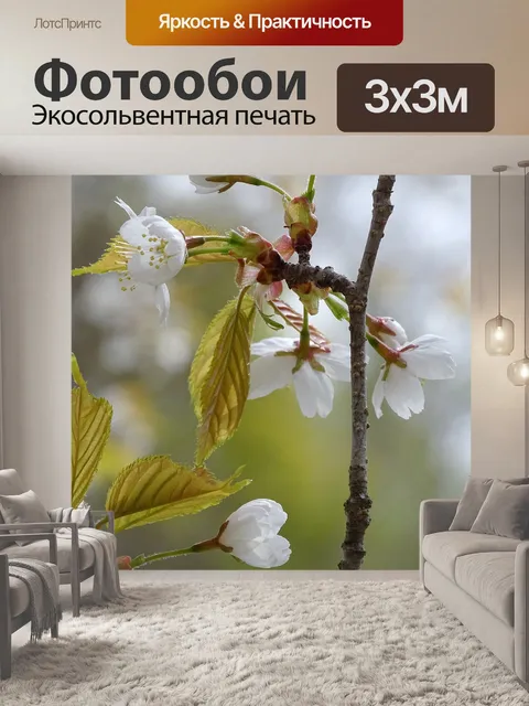 Фотообои Цветение вишни