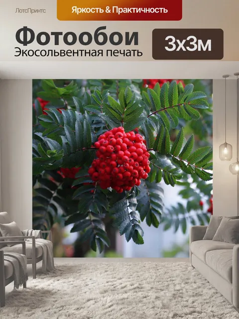 Фотообои Ягоды Рябины