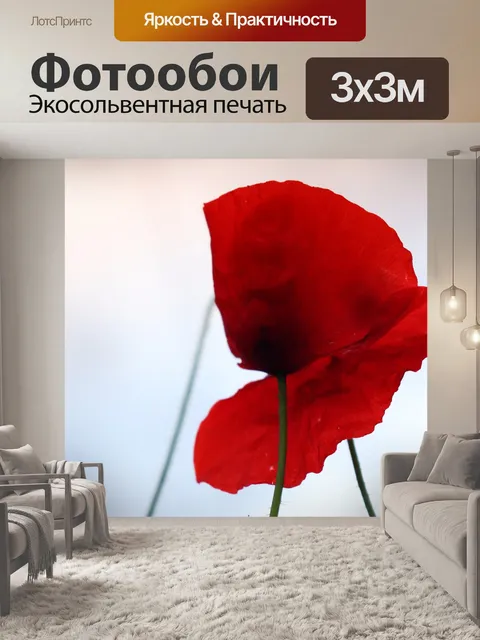 Фотообои Мак