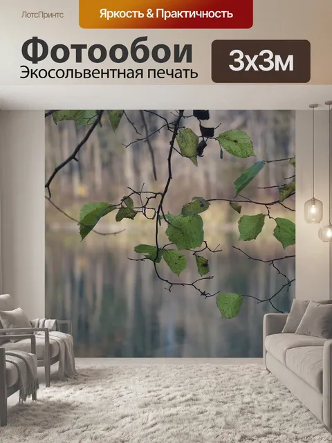 Фотообои Лес