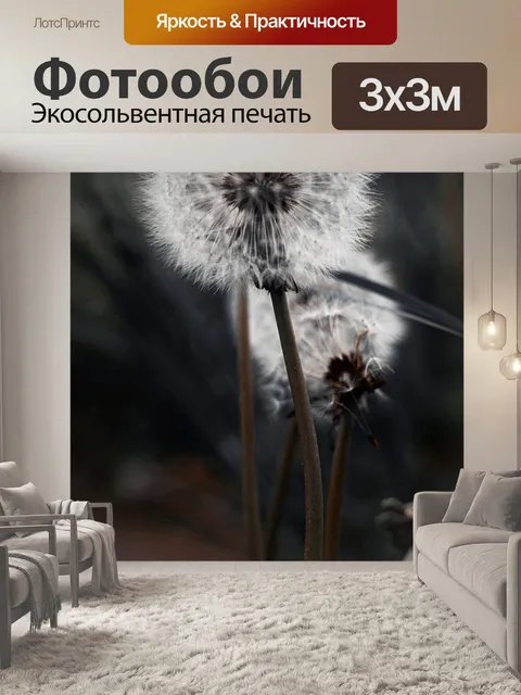 Фотообои Одуванчик