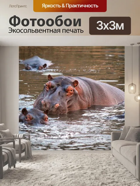 Фотообои Бегемот