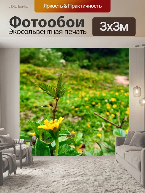 Фотообои Цветы