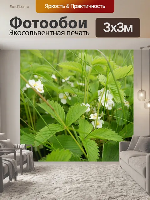 Фотообои Цветение