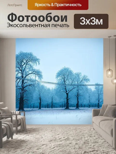 Фотообои пейзаж с замерзшими проводами и старыми деревьями, чье кронование заковано в ледяных узорах