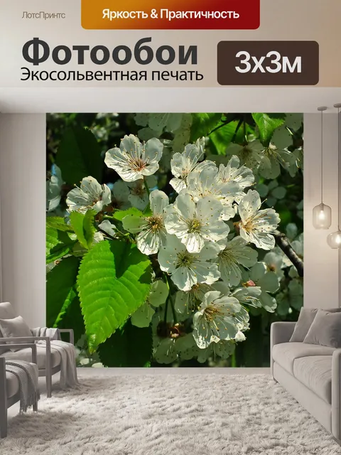 Фотообои Цветы