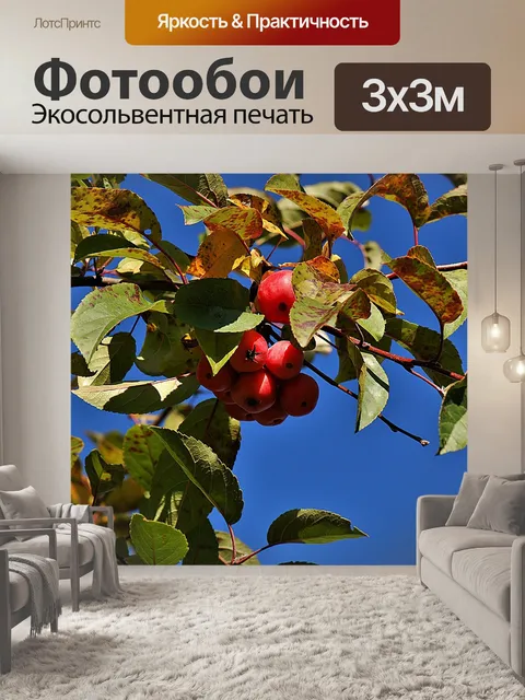 Фотообои Украшение