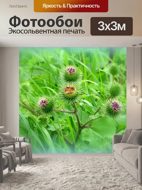 Фотообои Цветы