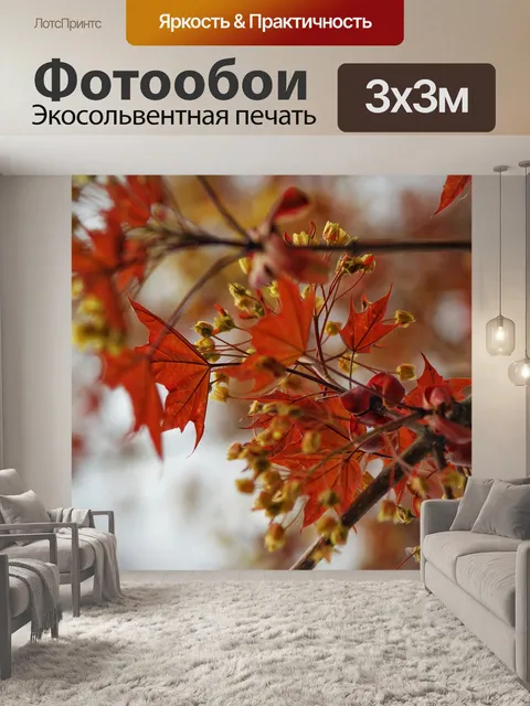 Фотообои Клен
