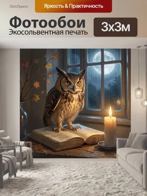 Фотообои Сова на книге у окна