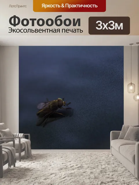 Фотообои Летать