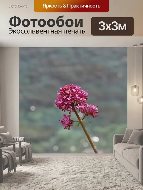 Фотообои Цветок