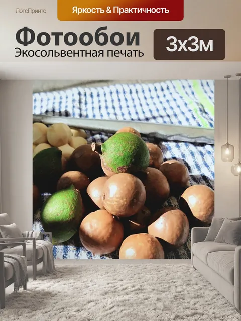 Фотообои Сырые орехи макадамия