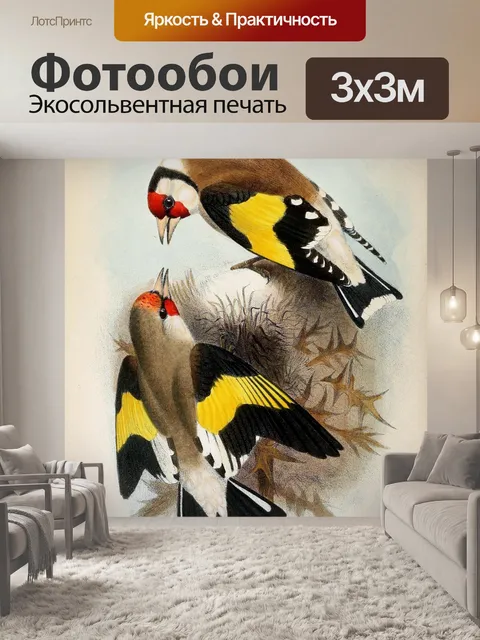 Фотообои Птица винтаж искусство старый